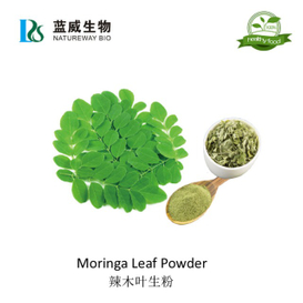 辣木叶生粉