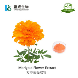 万寿菊提取物