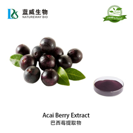 巴西莓提取物