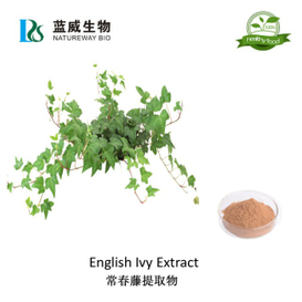 常春藤提取物