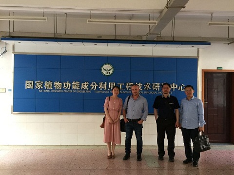 green tea plant extract lab